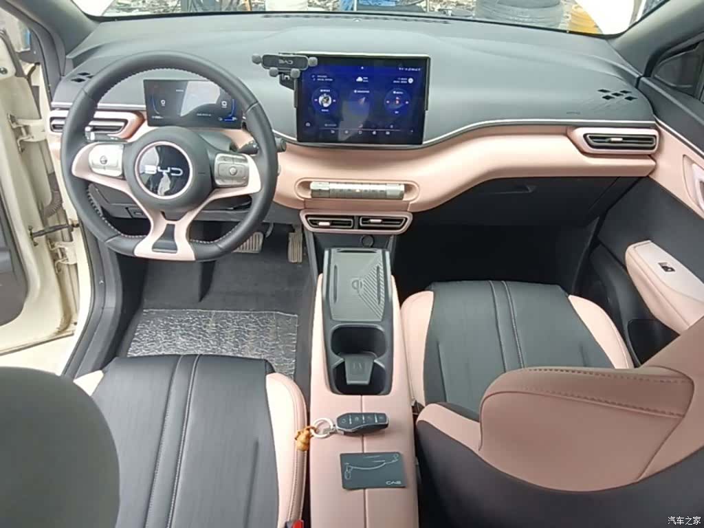 BYD Seagull, 2024 10