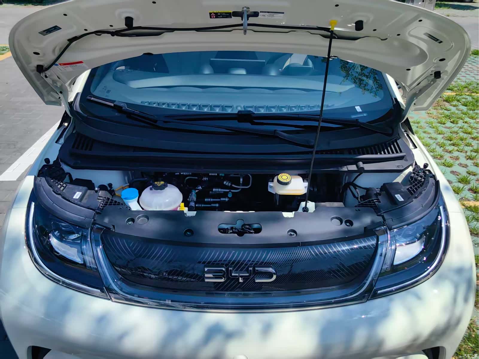BYD Dolphin, 2026 9