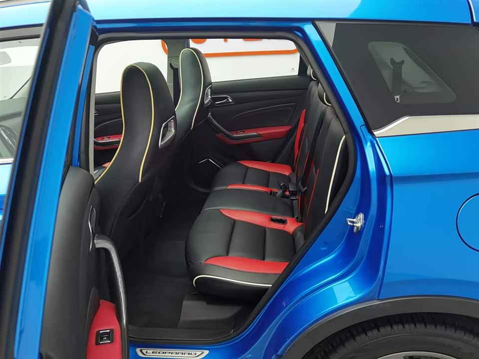 Leopaard Cheetah CS9