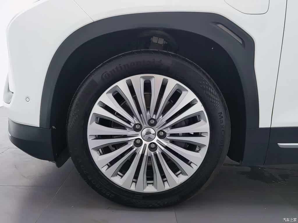 NIO ES6, 2021 17