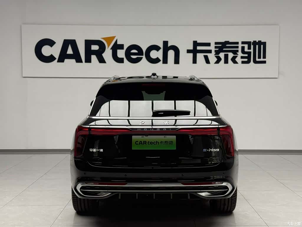 Hongqi E-HS9, 2023 3