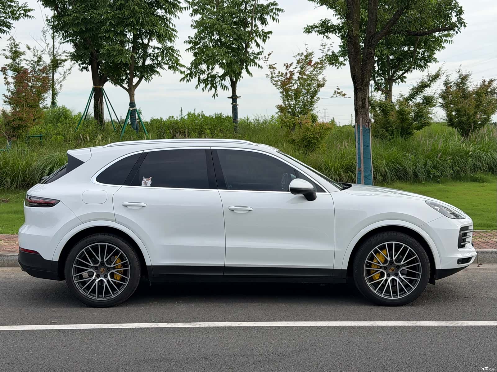Porsche Cayenne, 2019 4