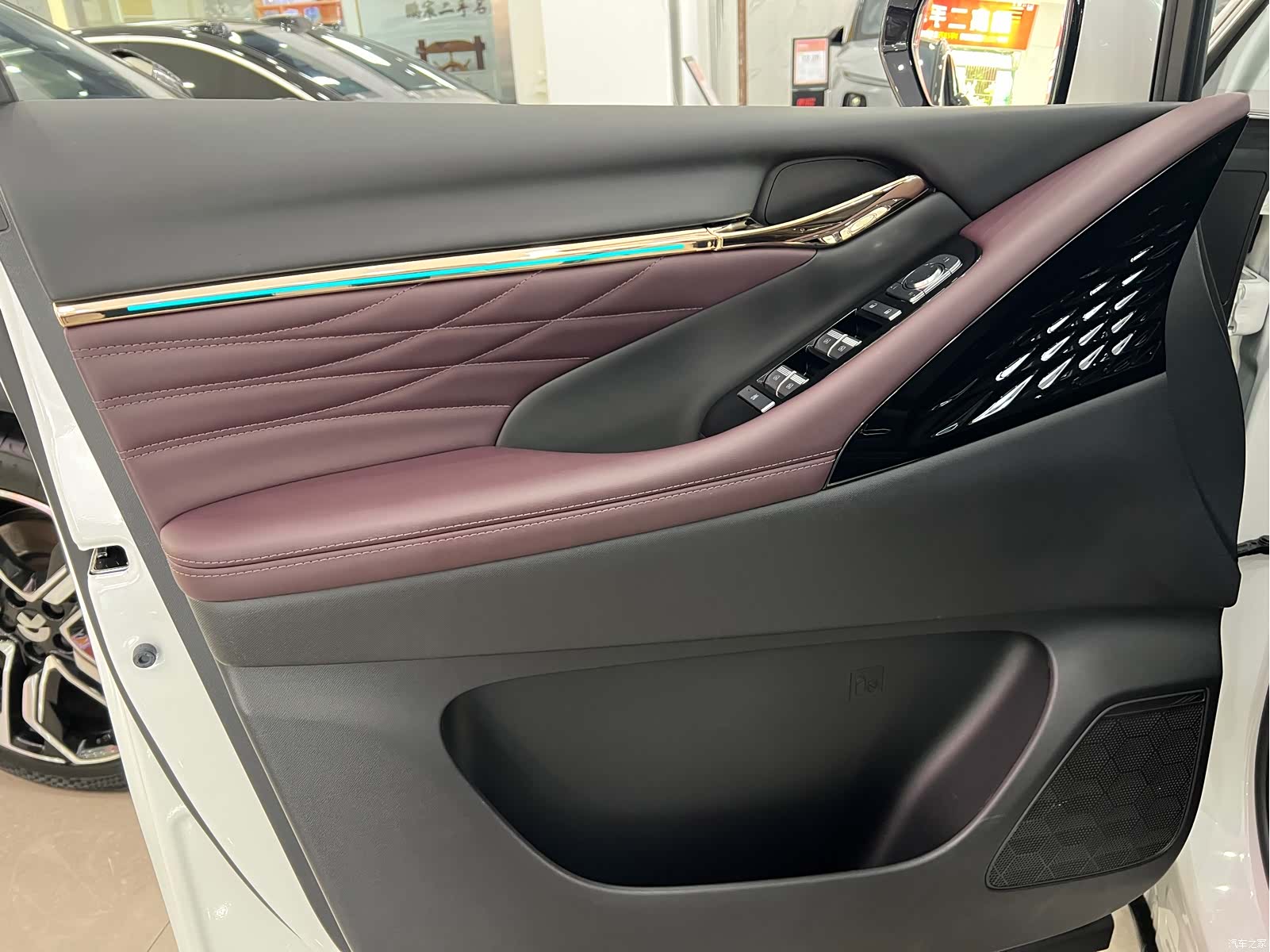 Trumpchi M8, 2024 8
