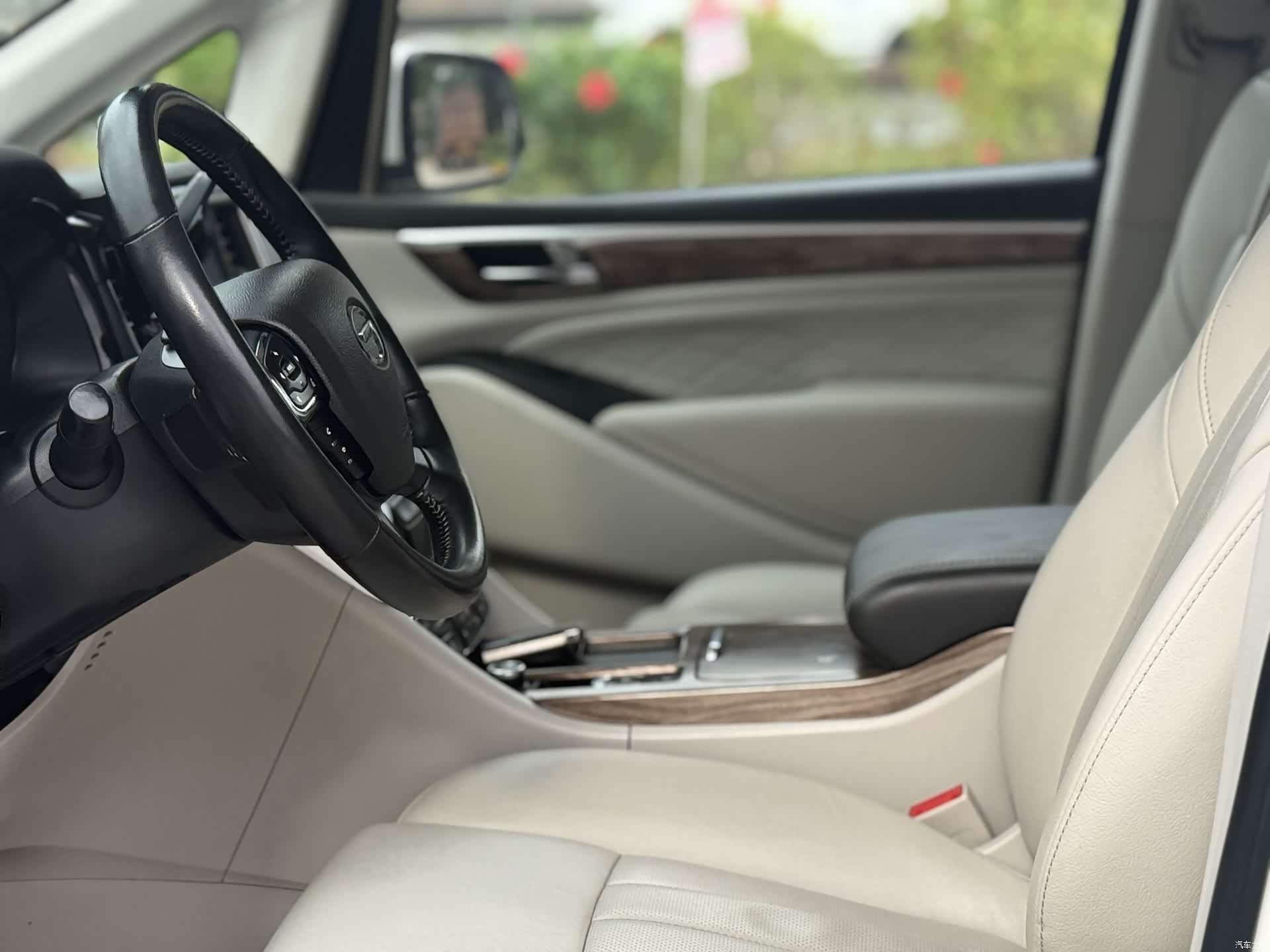 Trumpchi M8, 2019 15