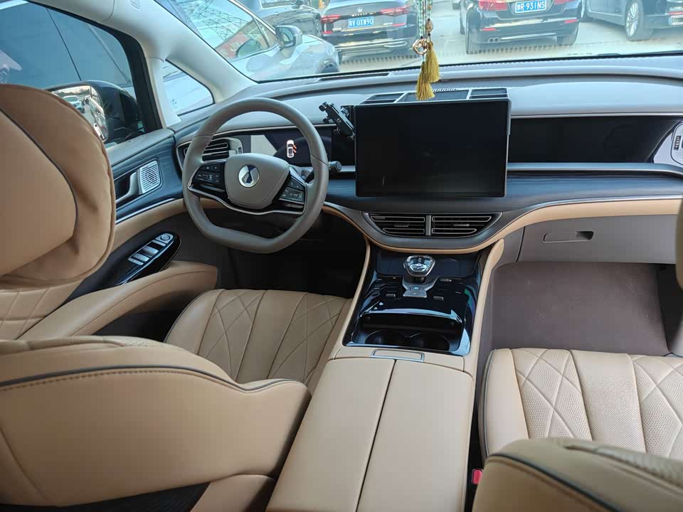Denza D9
