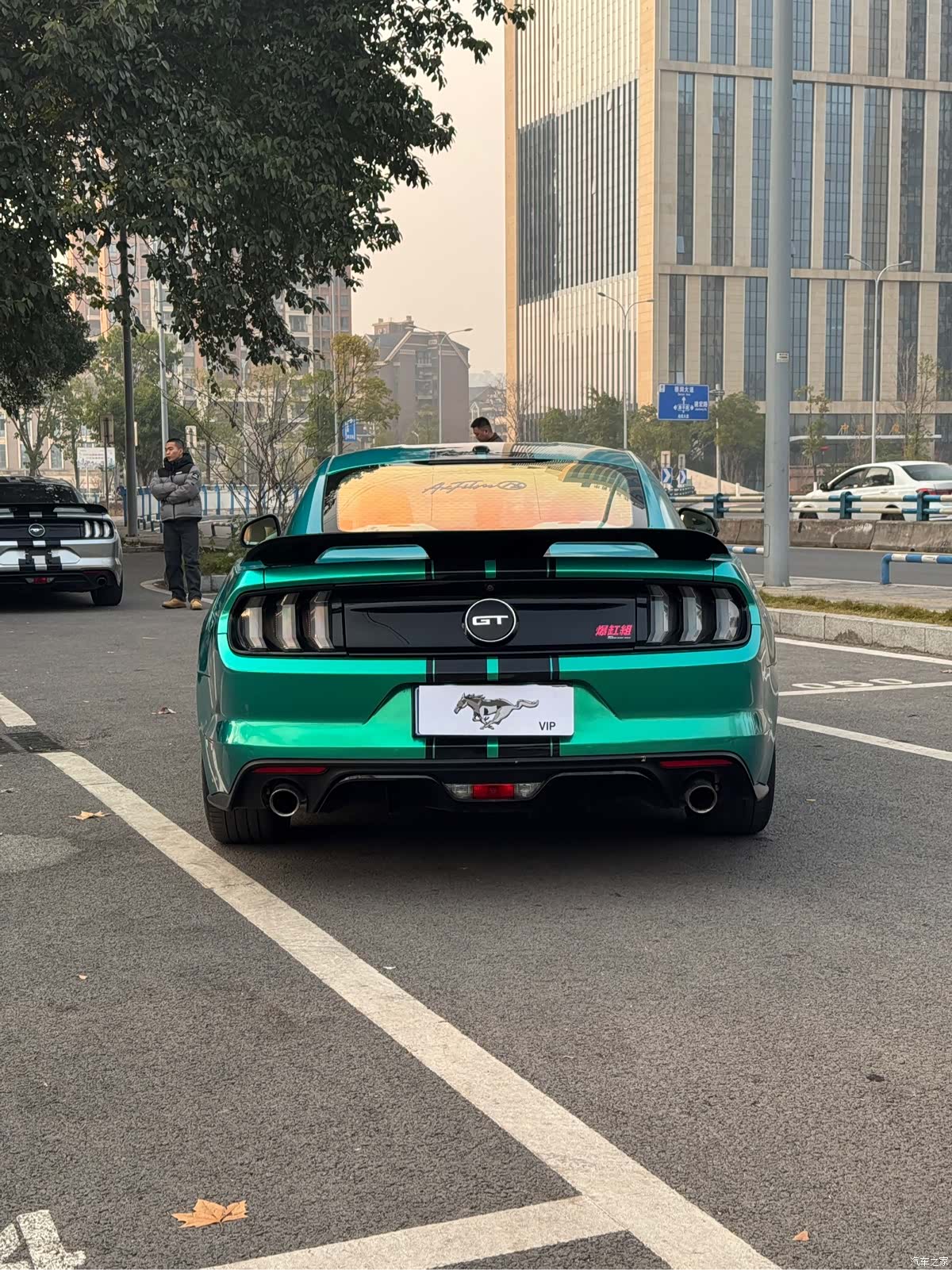 Ford Mustang, 2016 6