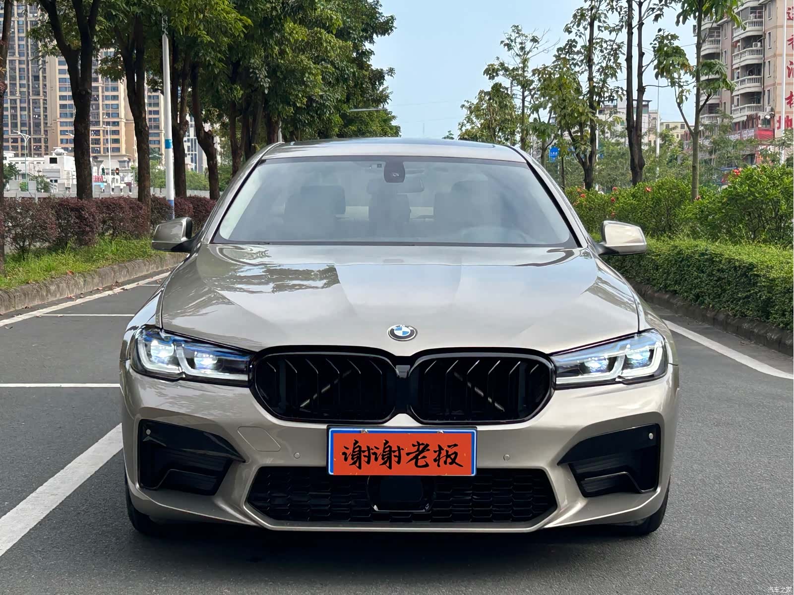 BMW 5 Series, 2010 2