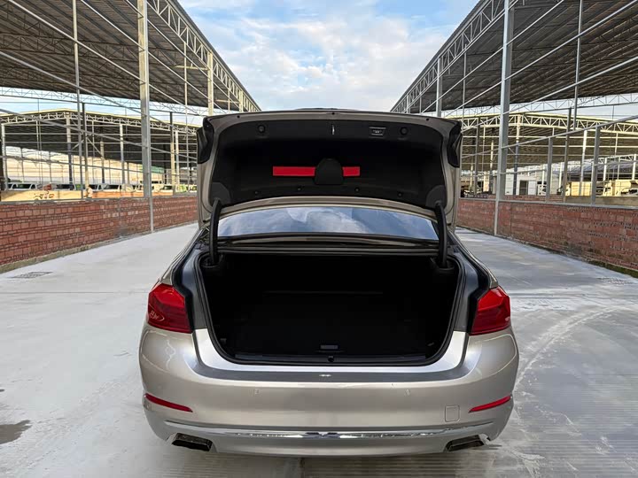 BMW 5 Series xin neng yuan 2020 530Le hao hua tao zhuang
