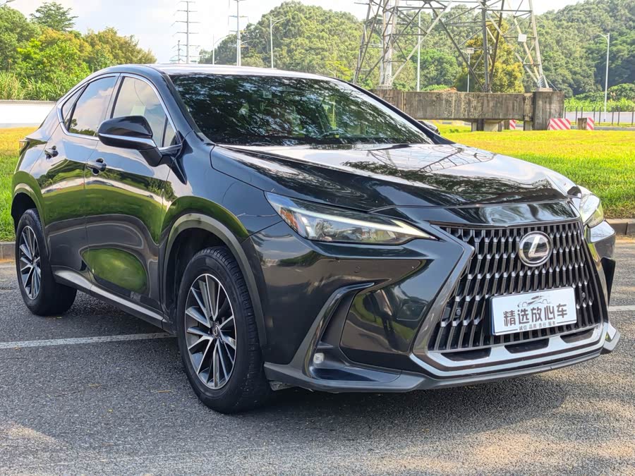 Lexus NX 2022, фото 3