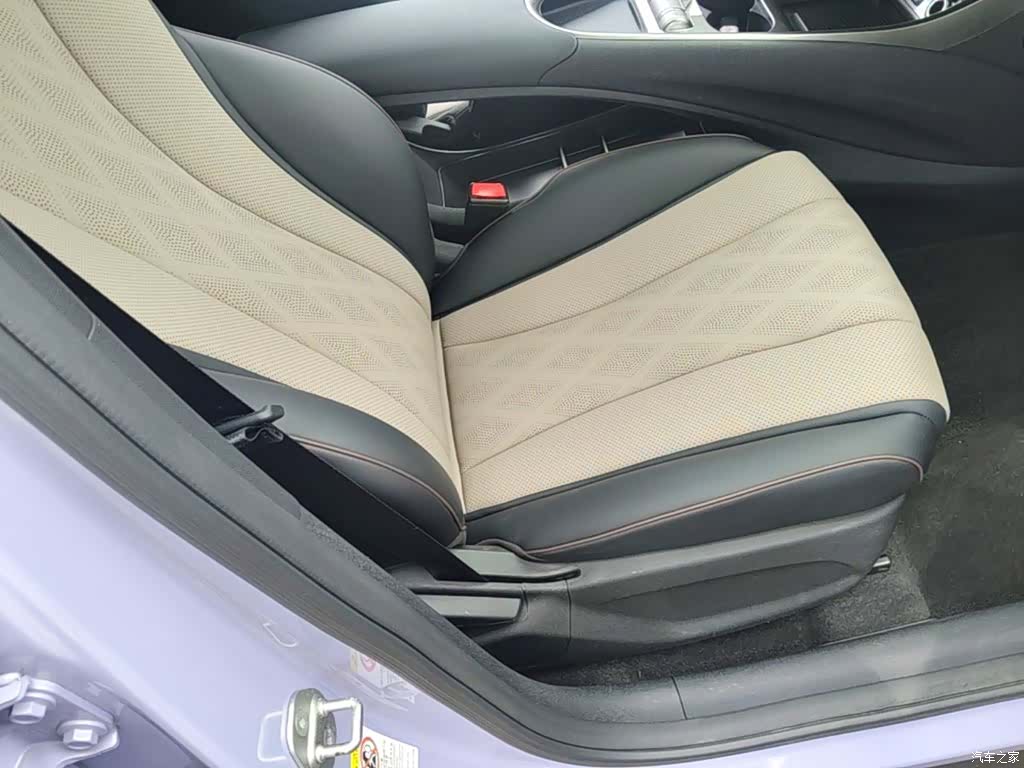 BYD Dolphin, 2023 25