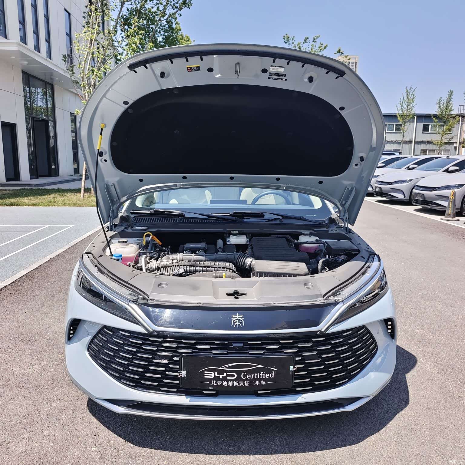 BYD Qin, 2025 2