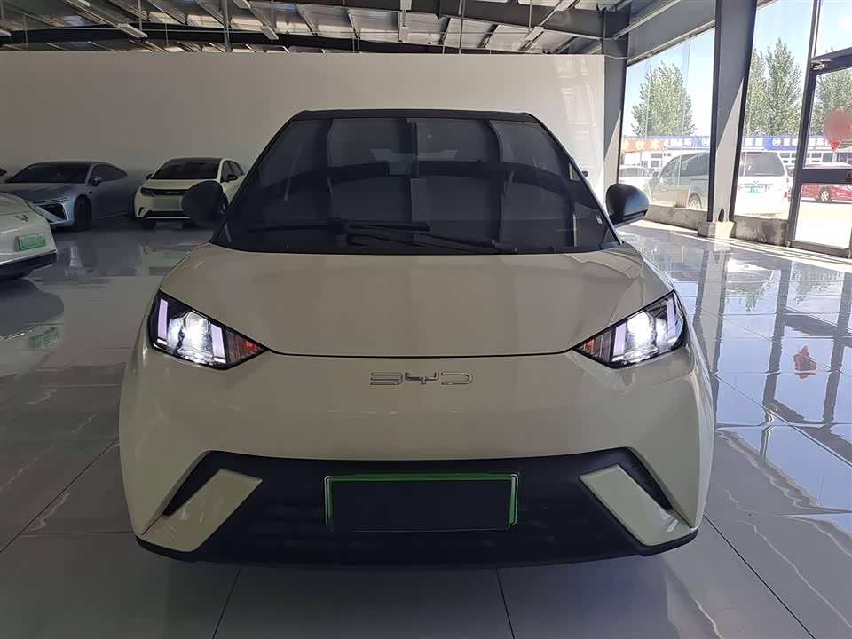 BYD Seagull