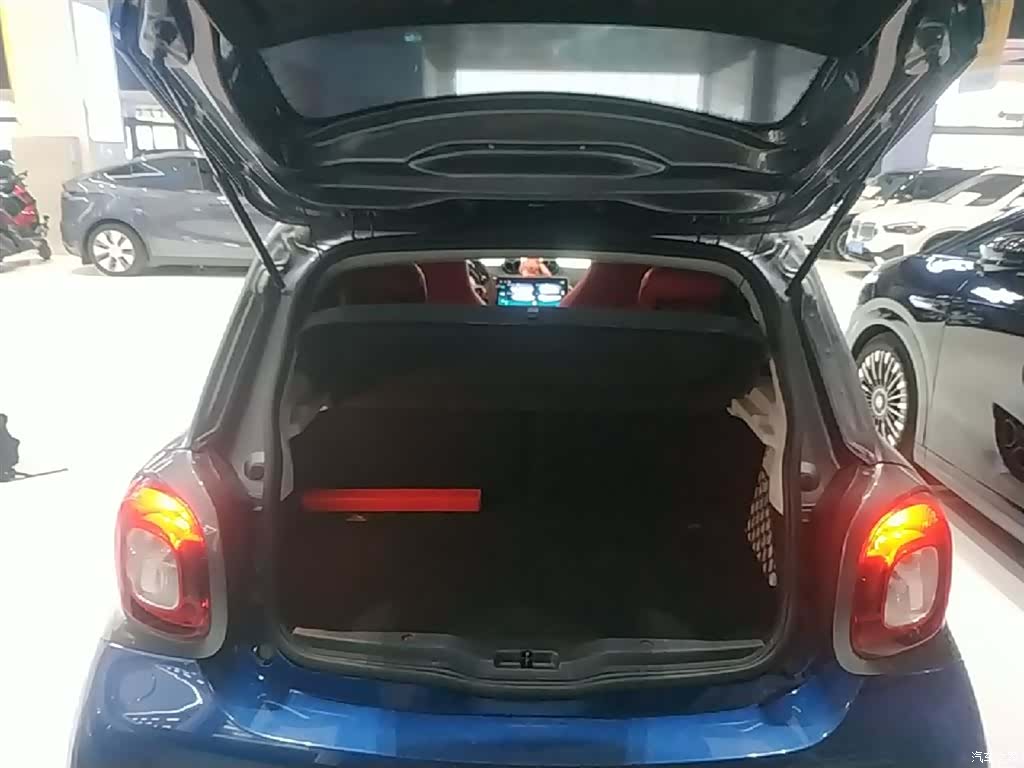 Smart Forfour, 2019 19