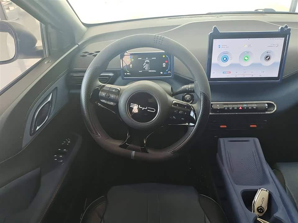 BYD Seagull