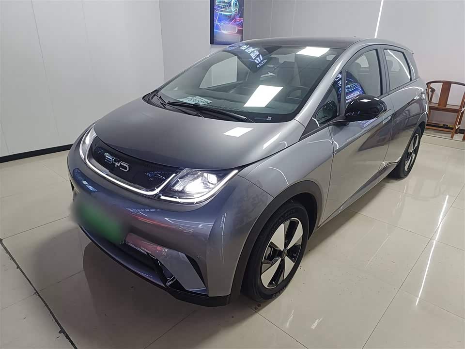 BYD dolphin