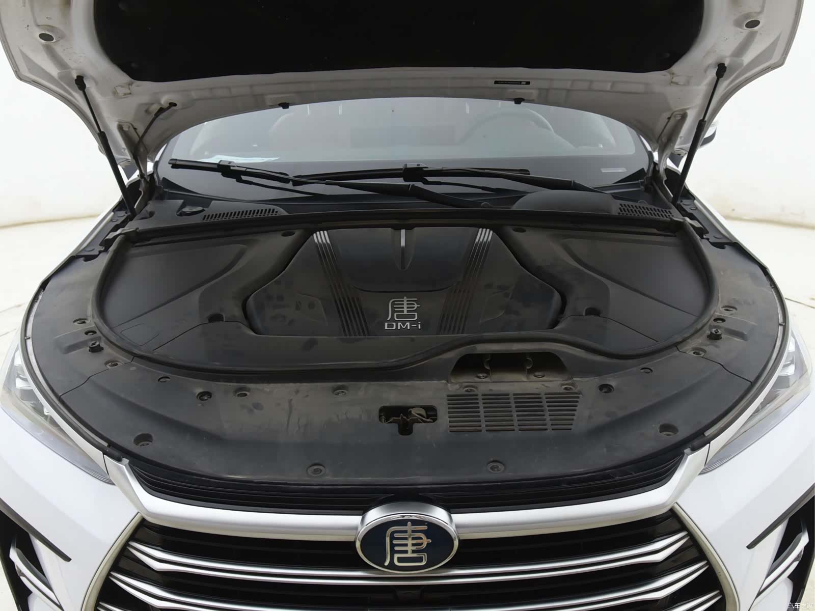 BYD Tang, 2023 15