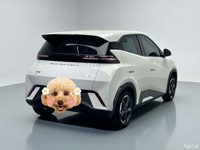 BYD Seagull, 2024 15
