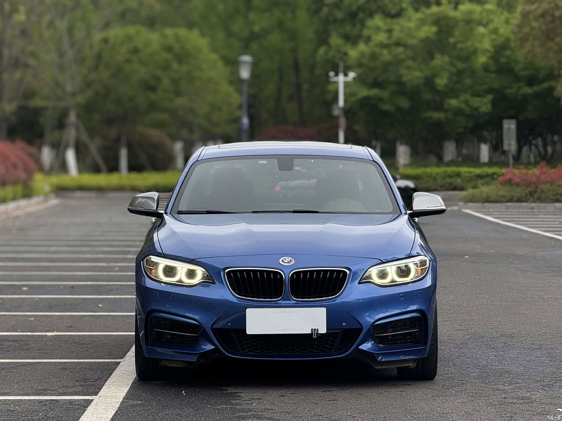 BMW 2 Series, 2016 2