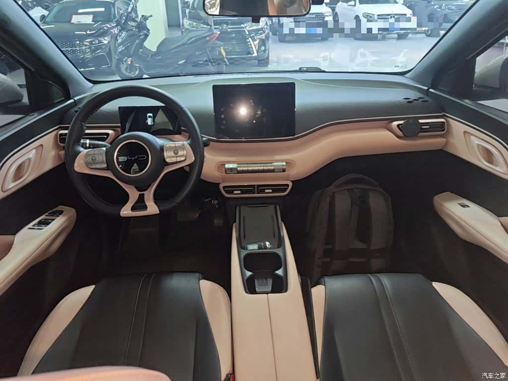 BYD Seagull, 2024 10