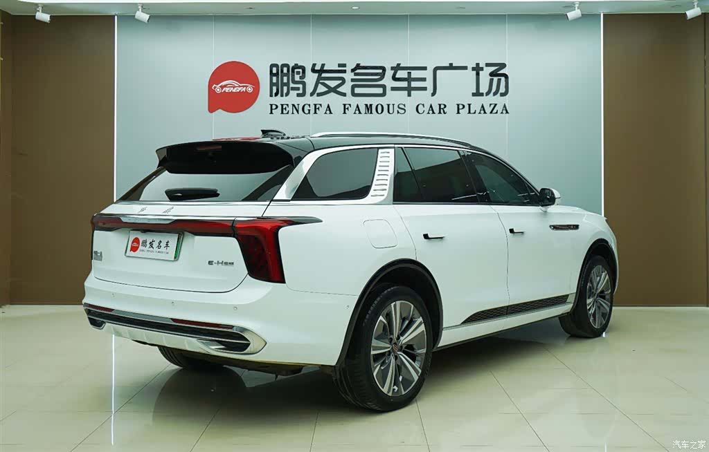 Hongqi E-HS9, 2022 20