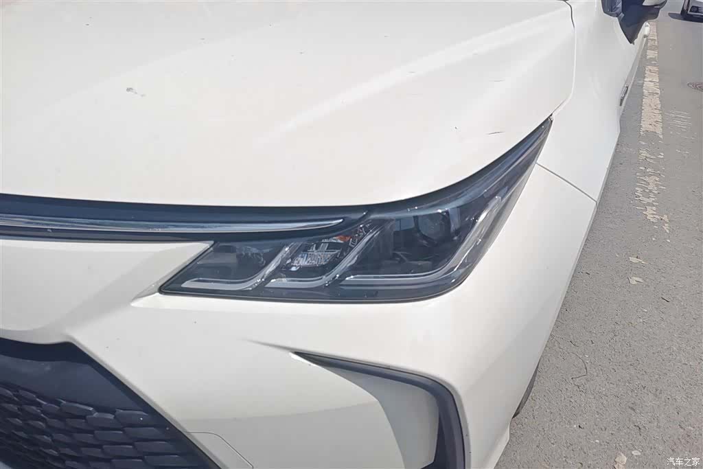 Toyota Corolla, 2024 все фото