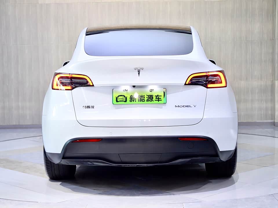 Tesla Model Y Tesla Model Y