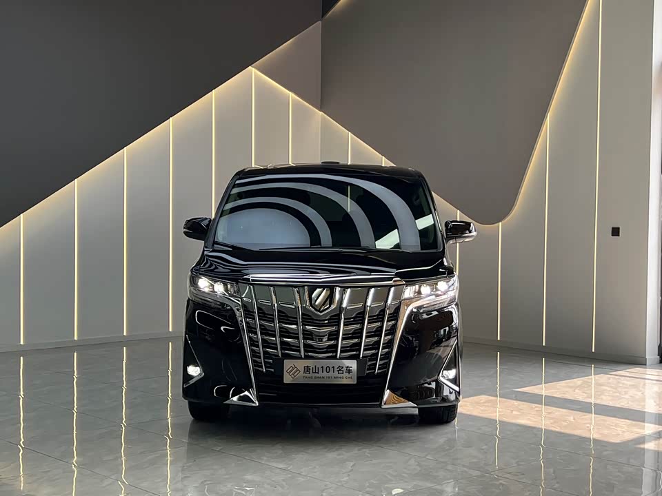 Toyota Elfa