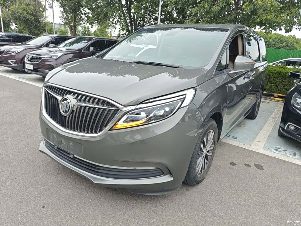 Buick GL8, 2019 2