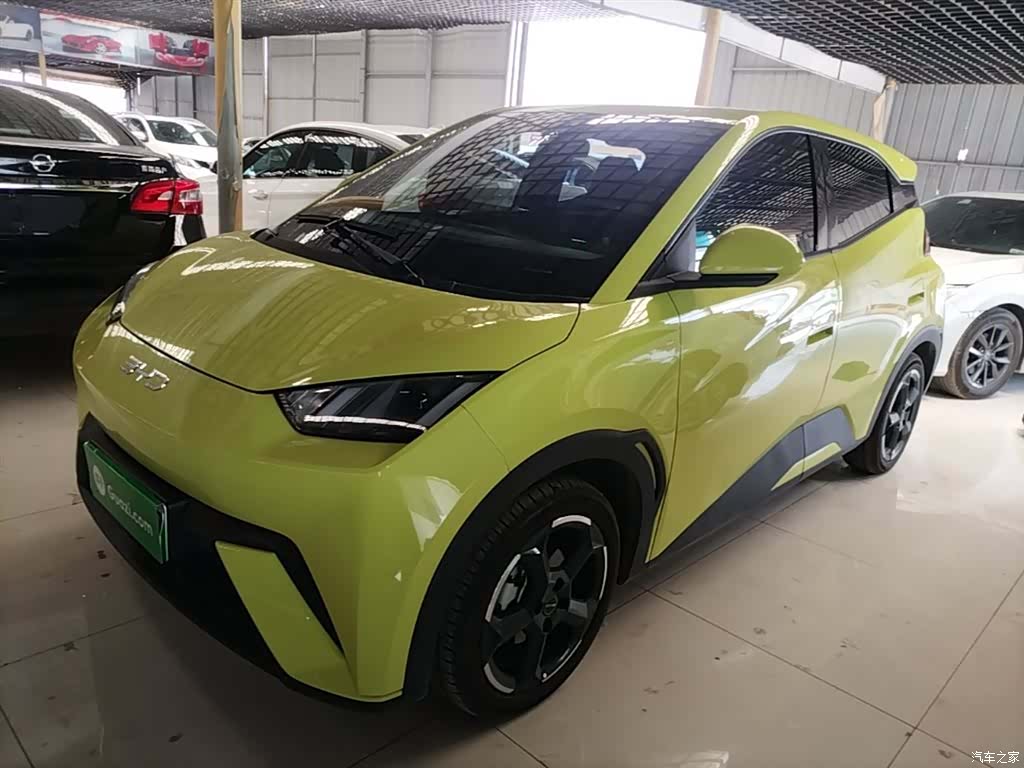 BYD Seagull, 2024 2