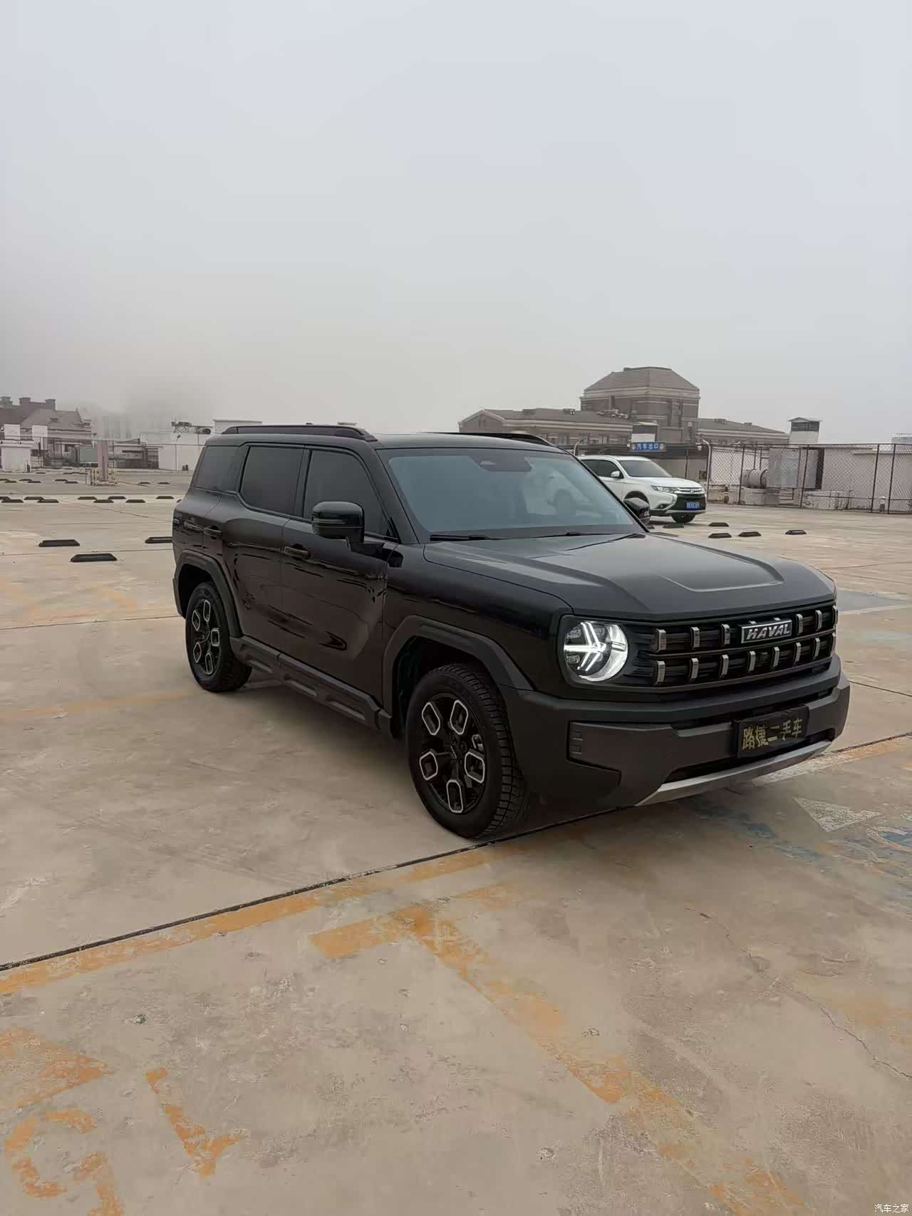 Haval Cool Dog, 2022 1