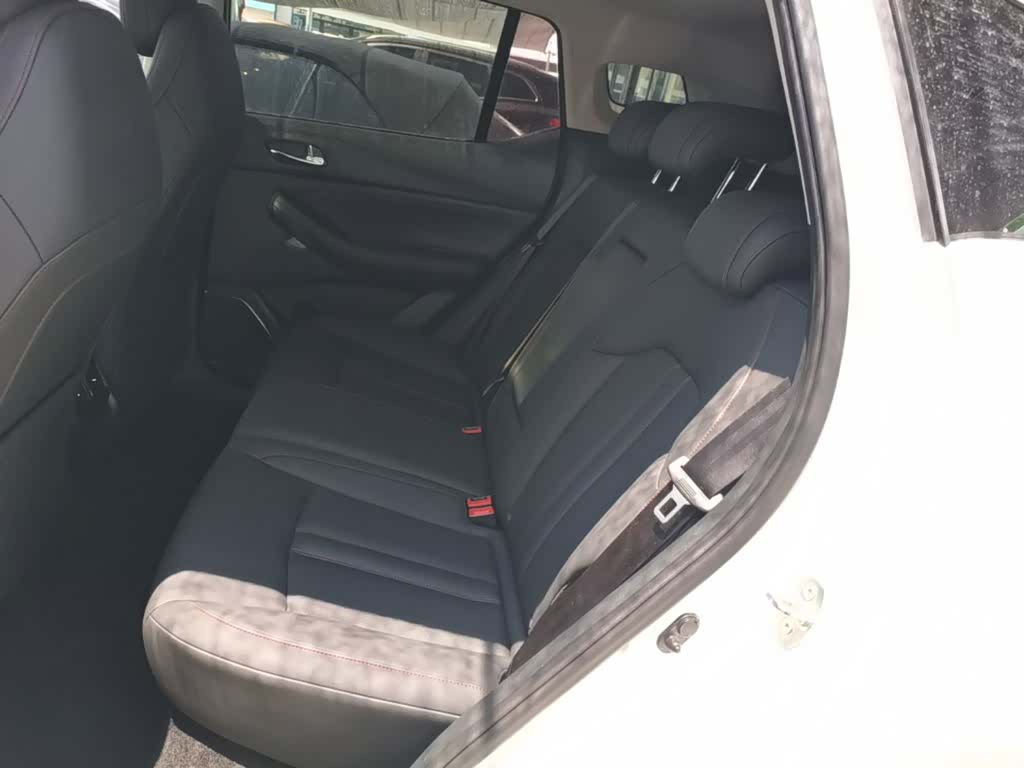GAC GS4, 2020 17