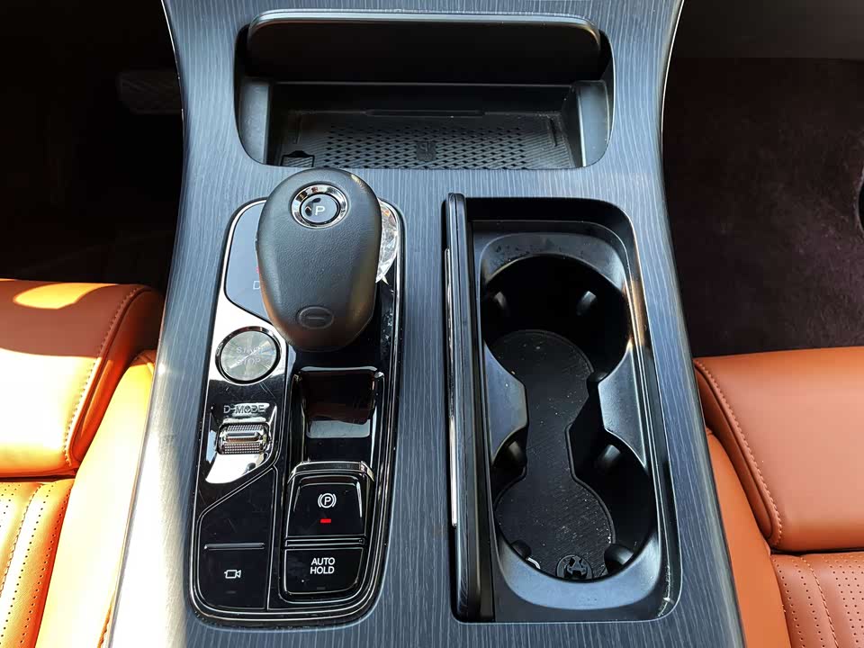 Trumpchi Trumpchi E9 Trumpchi Trumpchi E9