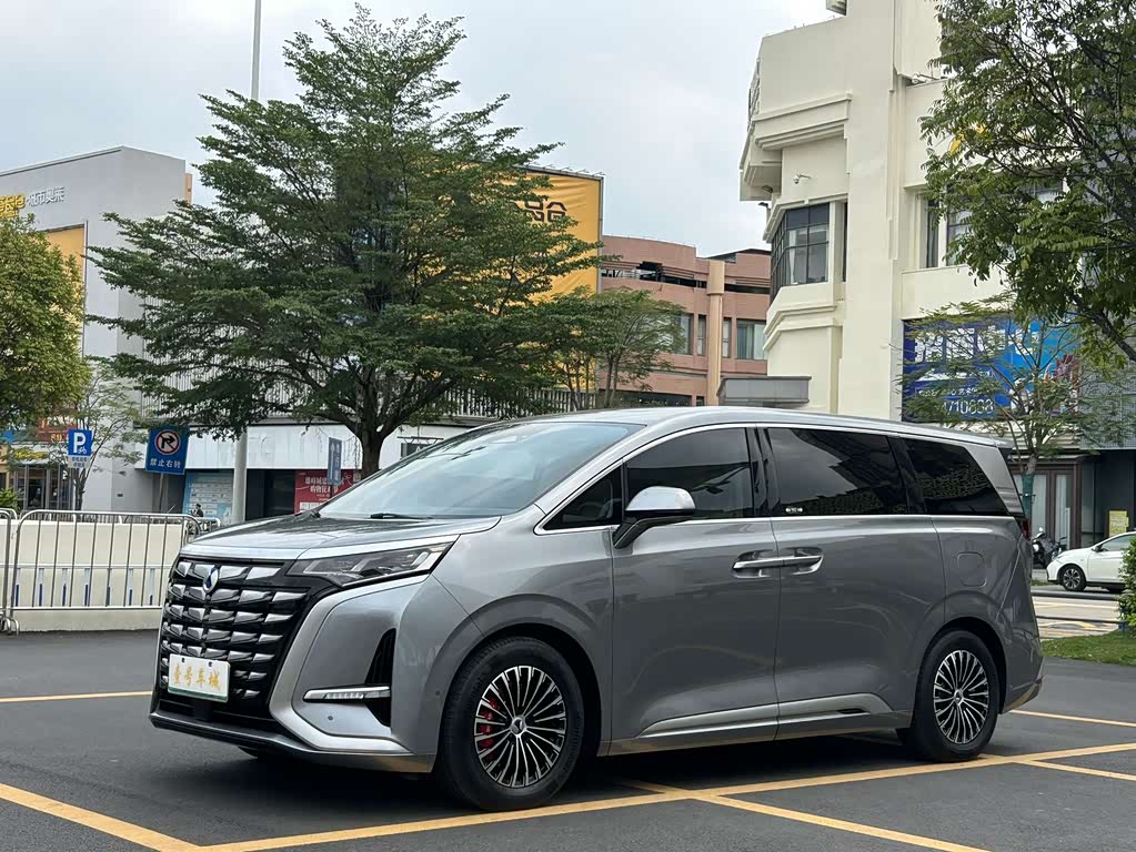 Denza D9
