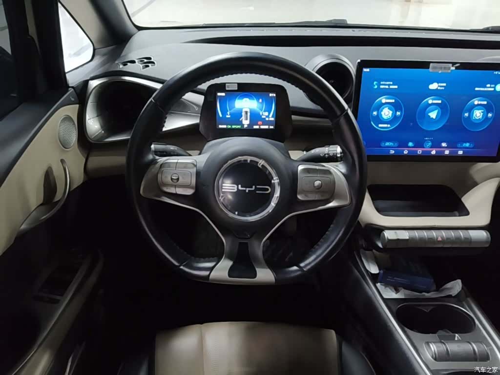 BYD Dolphin, 2024 11