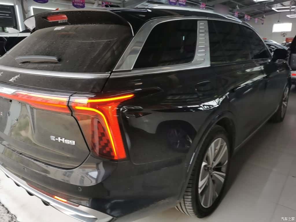 Hongqi E-HS9, 2023 8