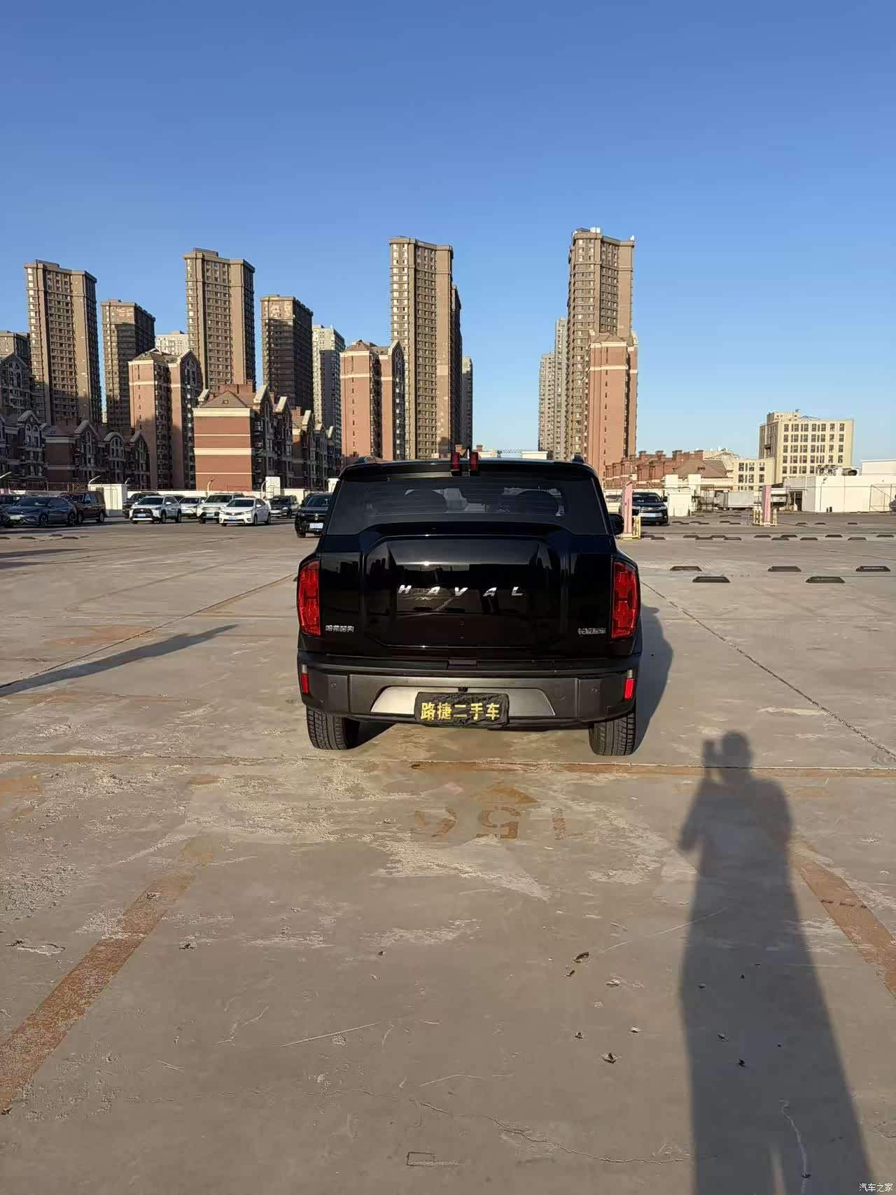 Haval Cool Dog, 2022 7