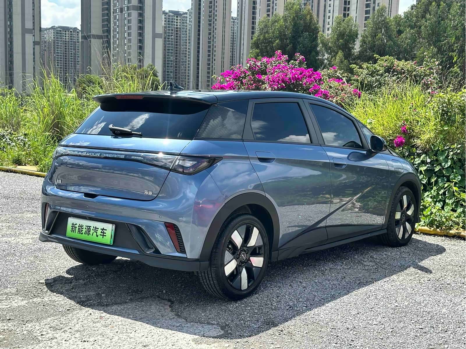 BYD Dolphin, 2024 7