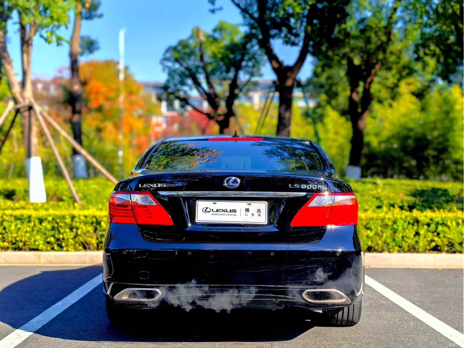 Lexus LS, 2011 17