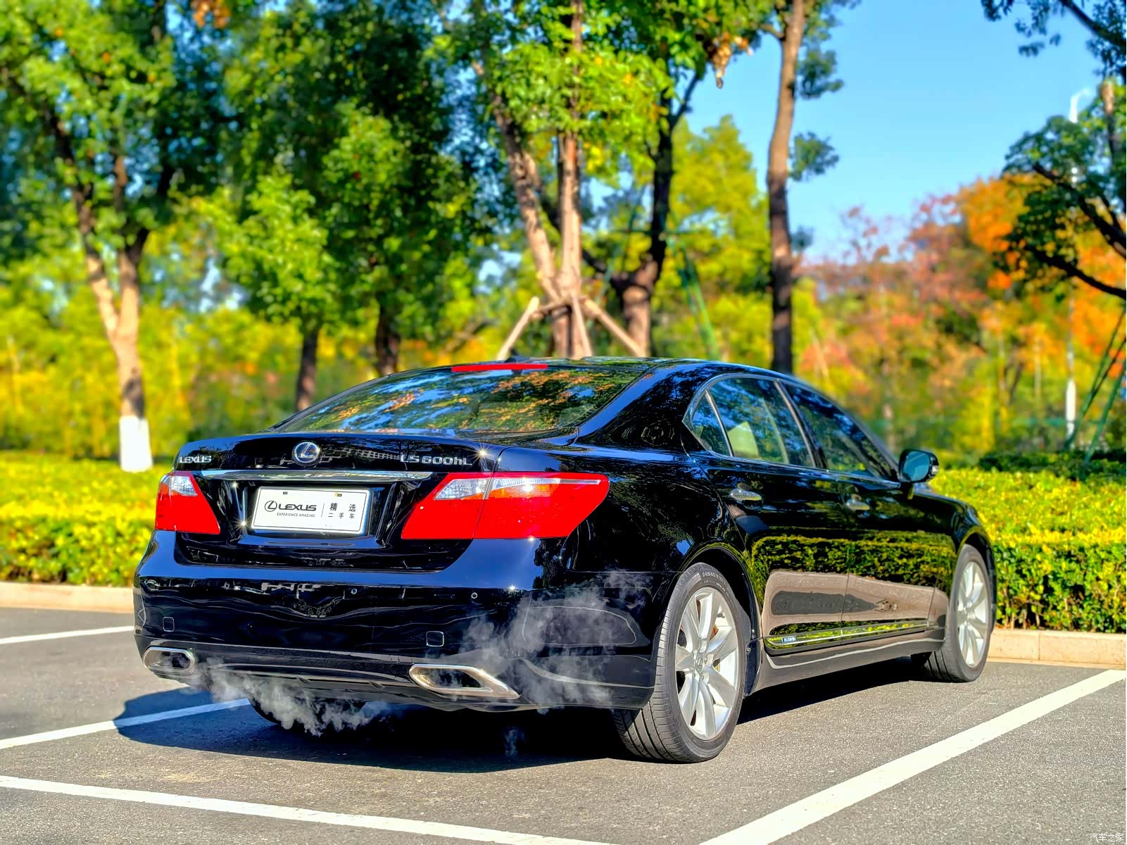 Lexus LS, 2011 18