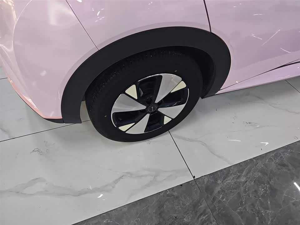 BYD dolphin