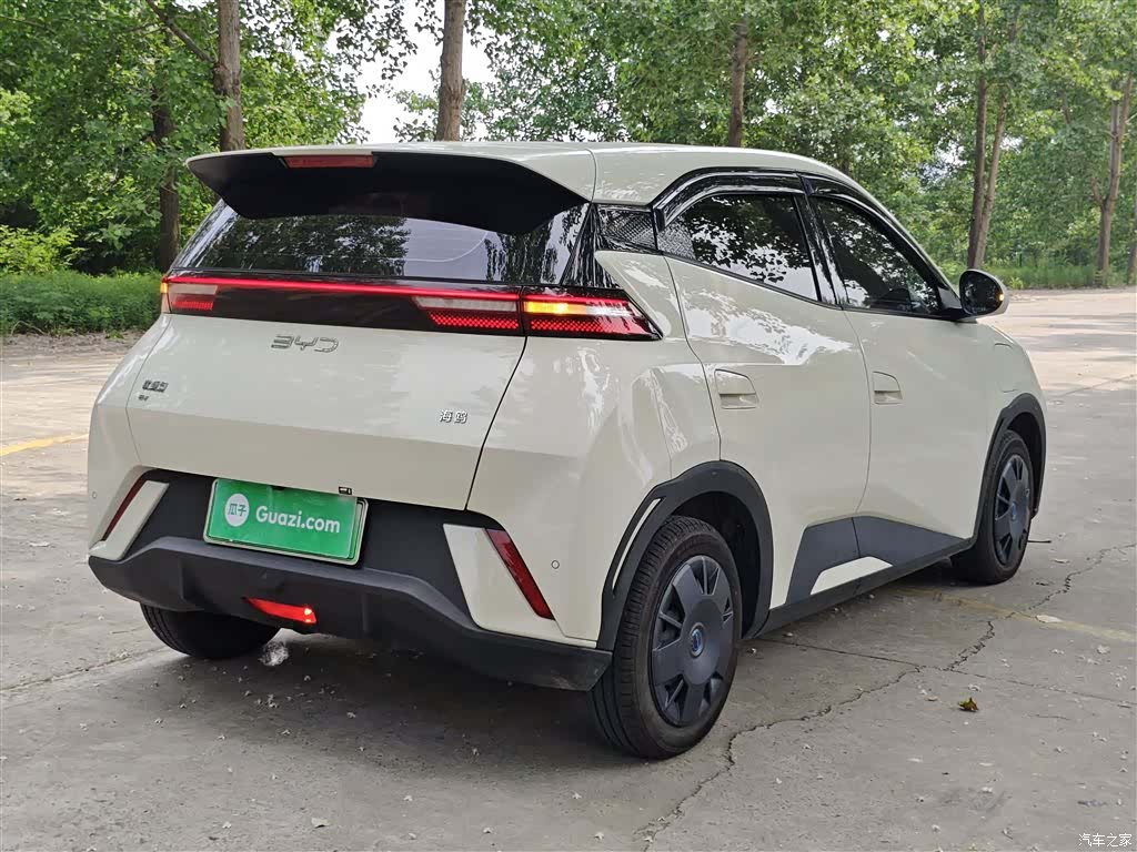 BYD Seagull, 2025 7