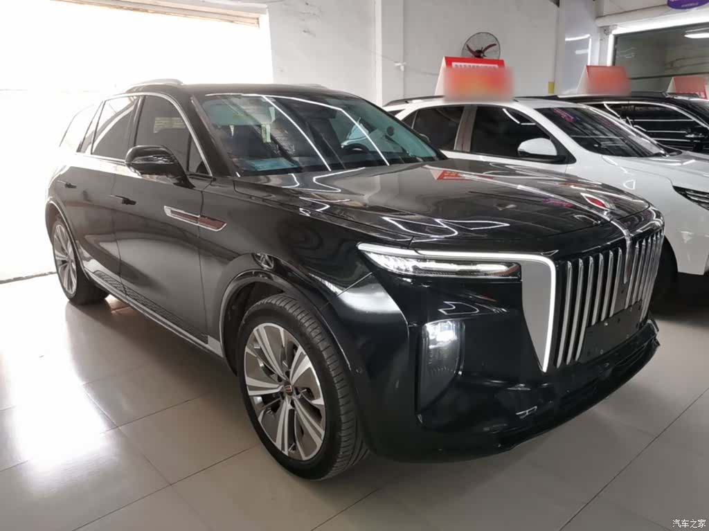 Hongqi E-HS9, 2023 4