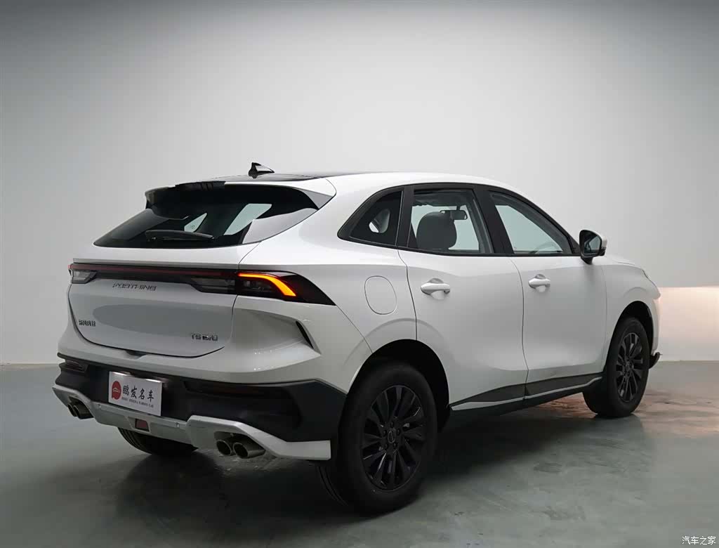 DongFeng T5, 2024 18