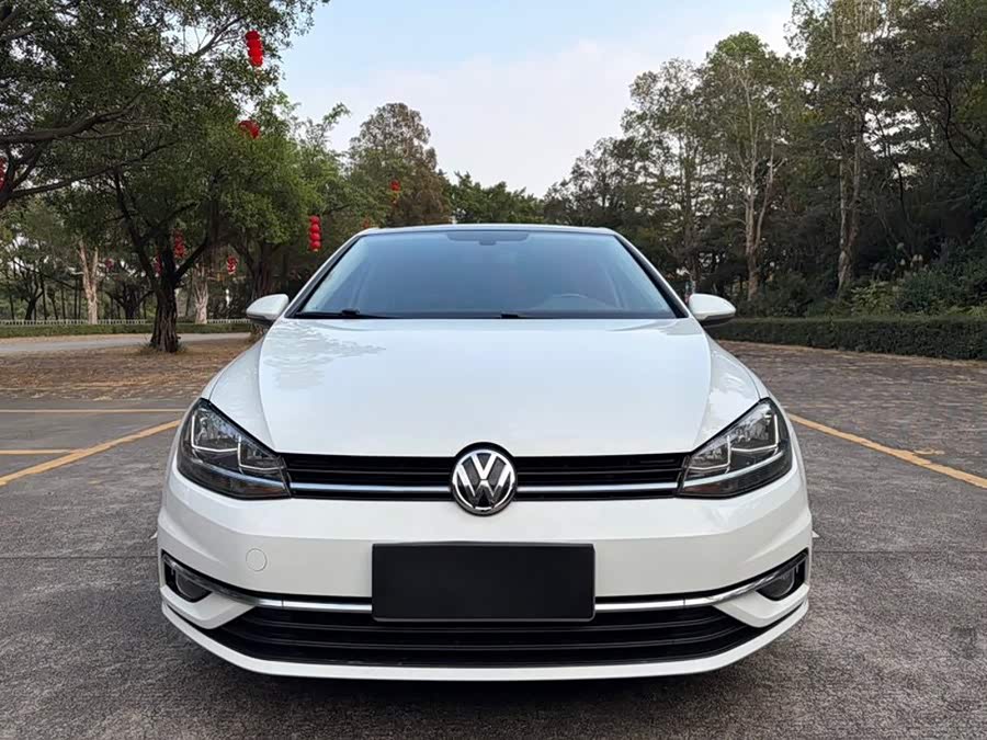 Volkswagen Golf 2019, фото 2