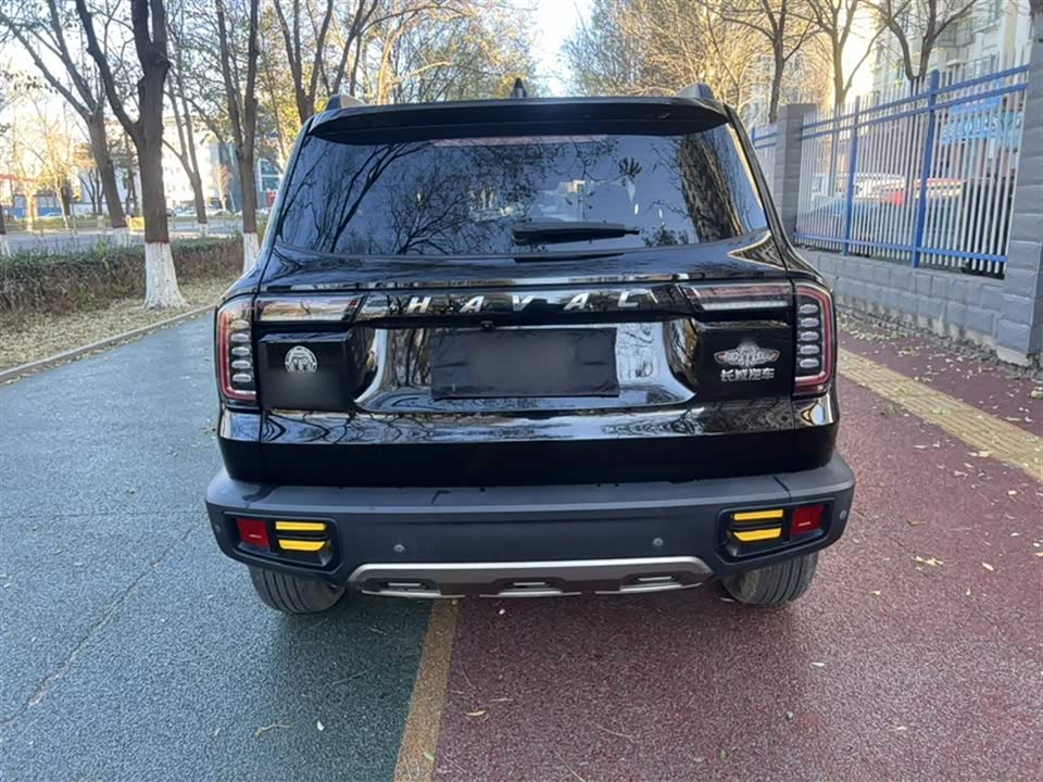 Haval Big dog