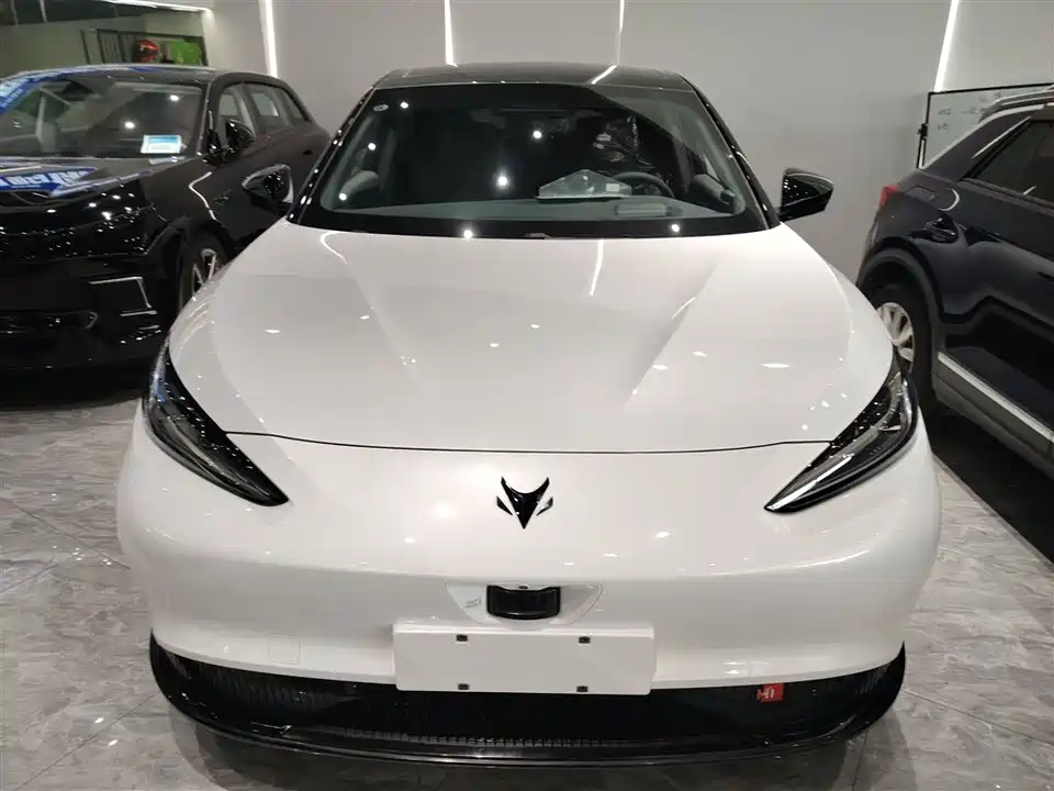 ARCFOX Polar Fox Alpha S