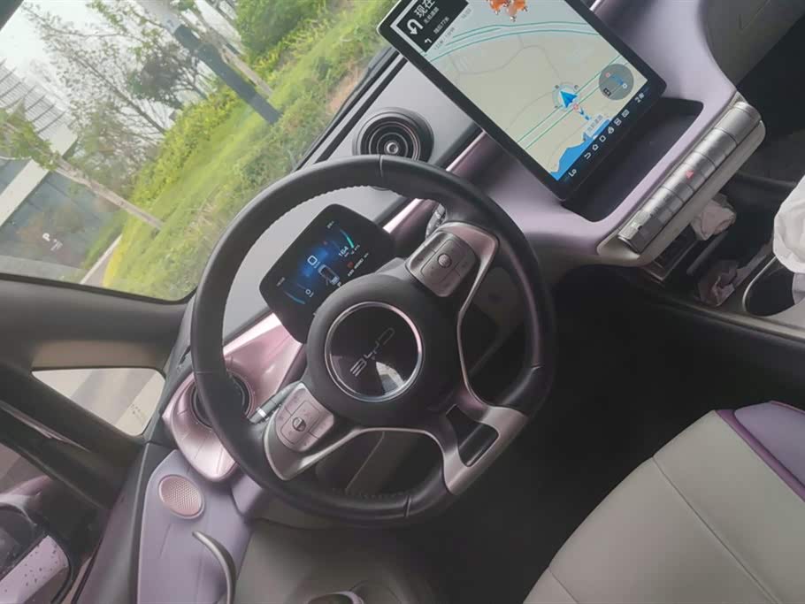 BYD dolphin