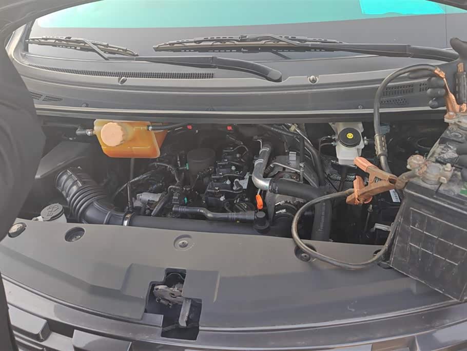 Forthing Lingzhi PLUS