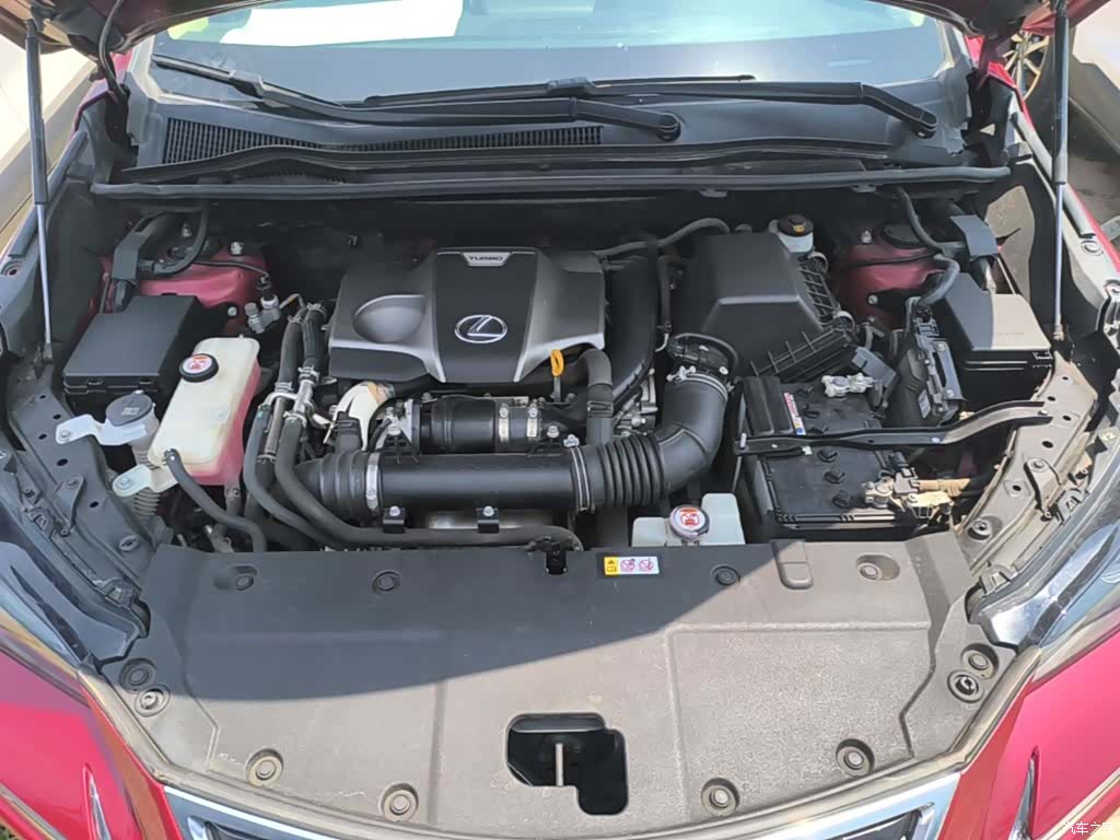 Lexus NX, 2019 20