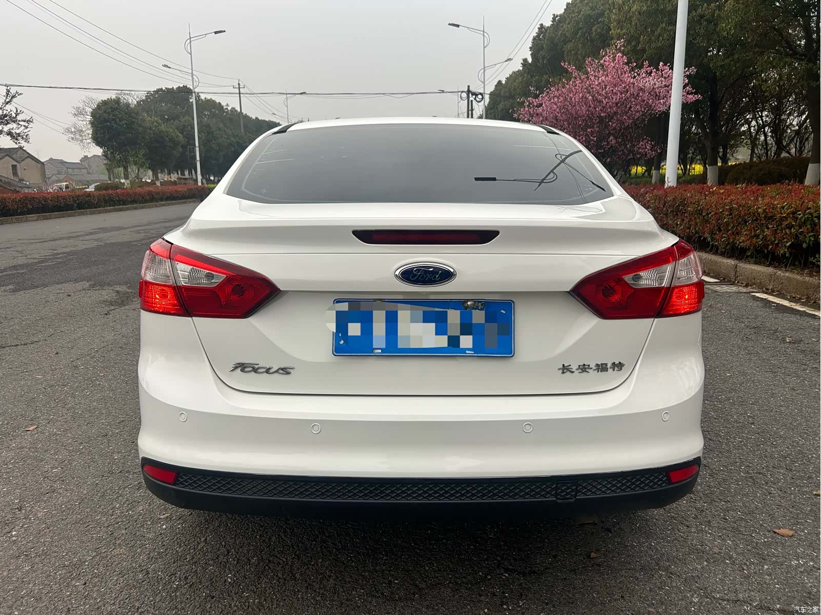 Ford Focus, 2015 все фото
